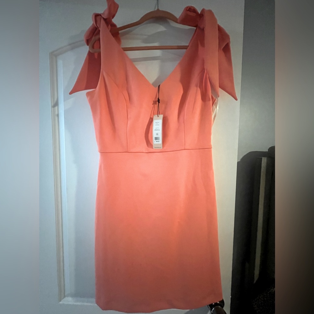 New with tags BCBG dress